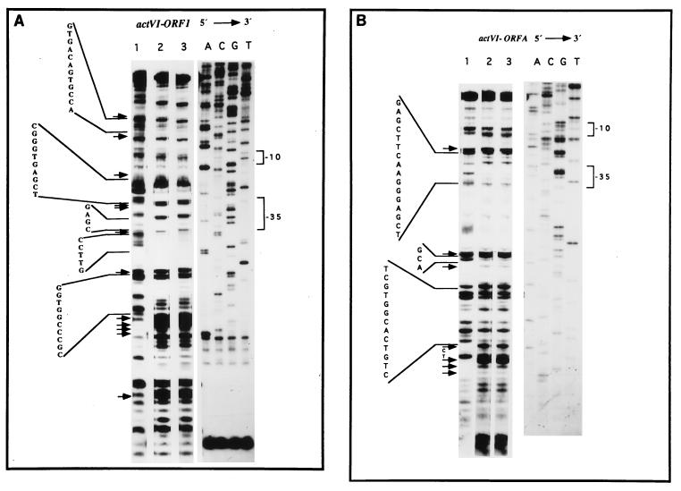 FIG. 7