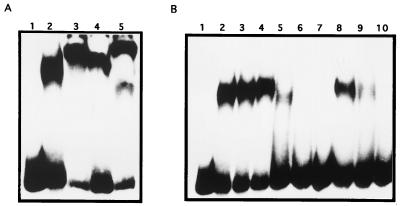 FIG. 6