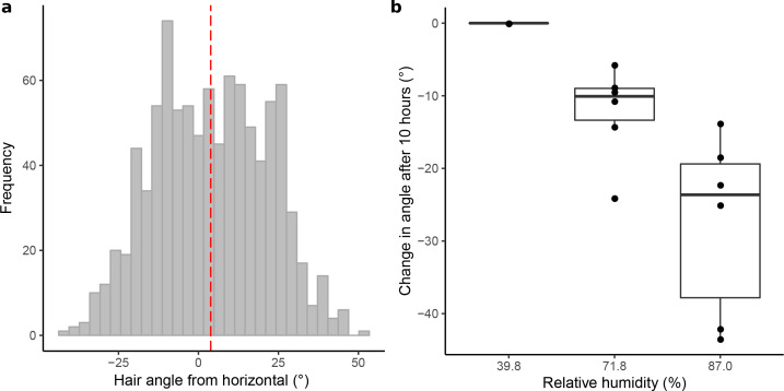 Figure 1—figure supplement 1.