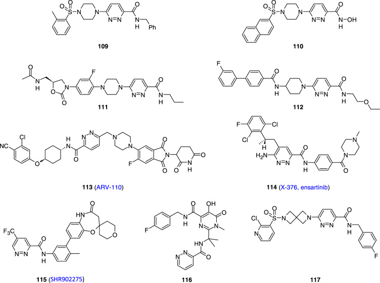 graphic file with name 44_2023_3035_Figp_HTML.jpg