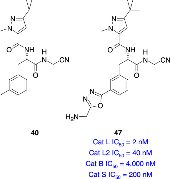 graphic file with name 44_2023_3035_Figf_HTML.jpg