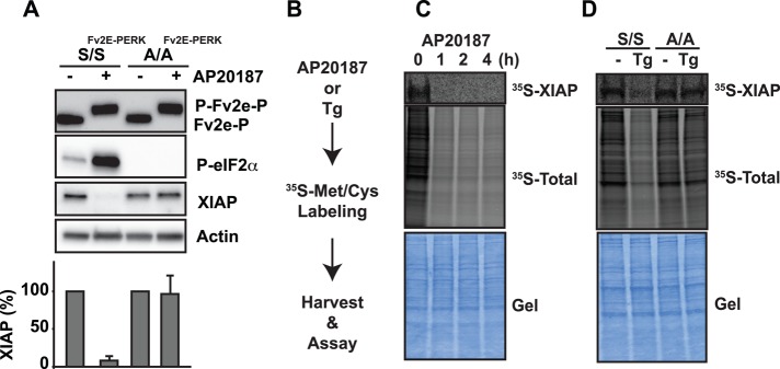 FIGURE 3: