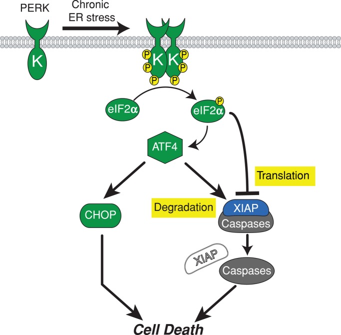 FIGURE 7: