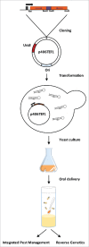 Figure 1.