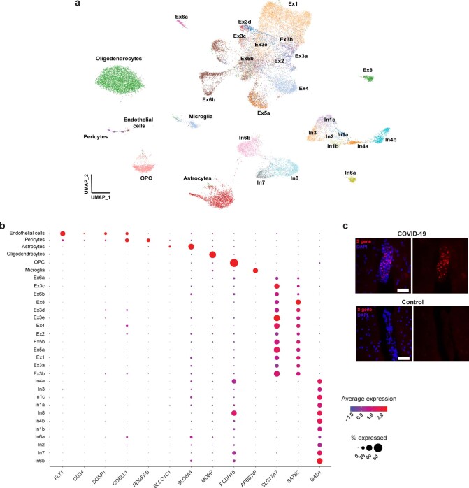 Extended Data Fig. 4