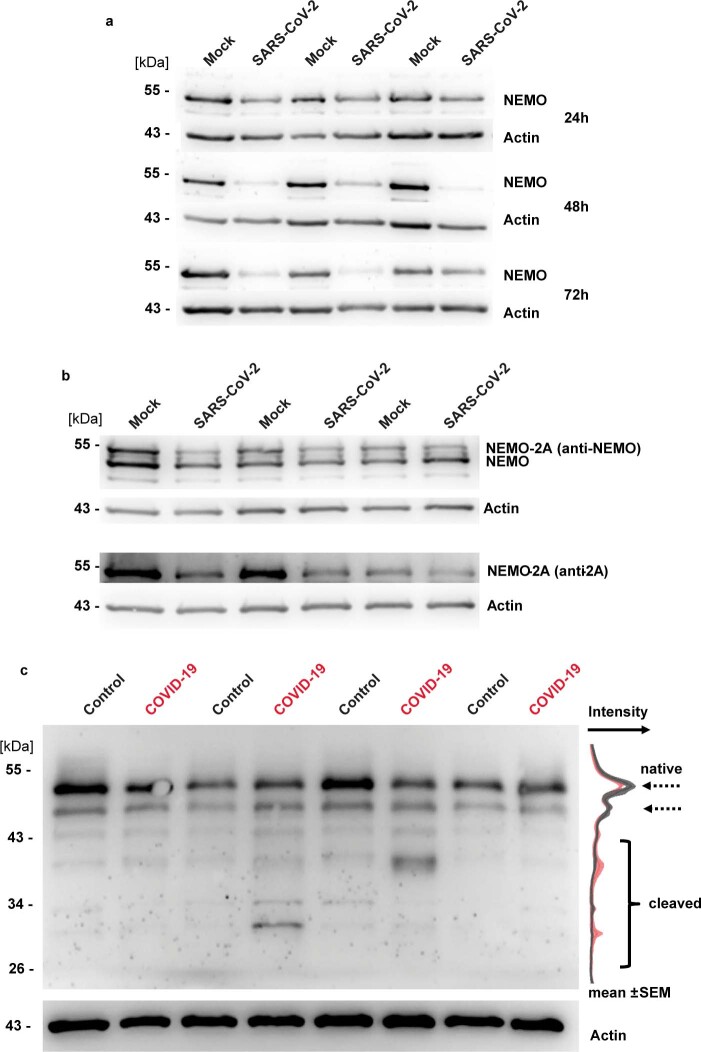 Extended Data Fig. 5