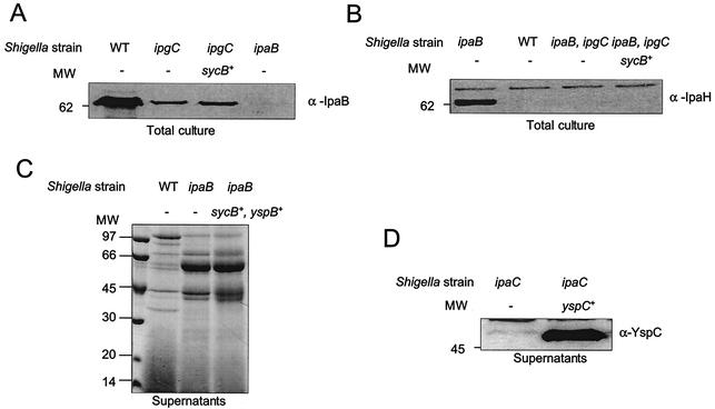 FIG. 6.