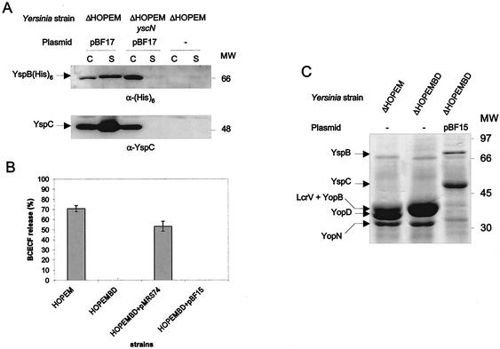 FIG. 5.