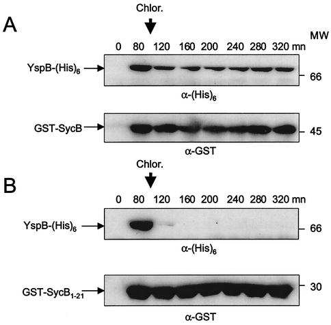 FIG. 4.