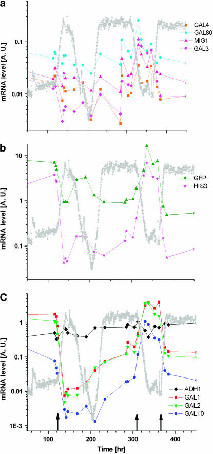 Figure 5.