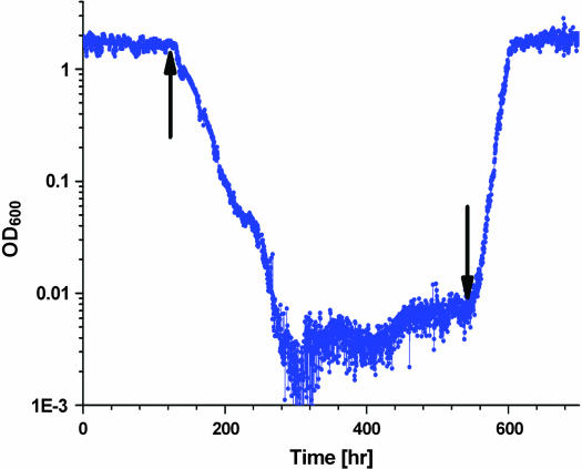 Figure 11.