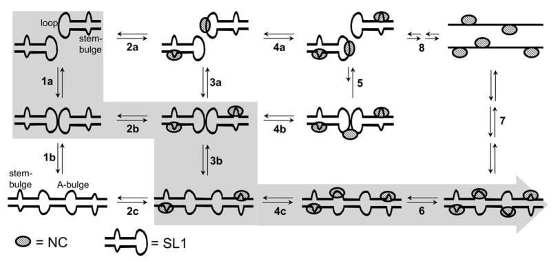 Scheme 3