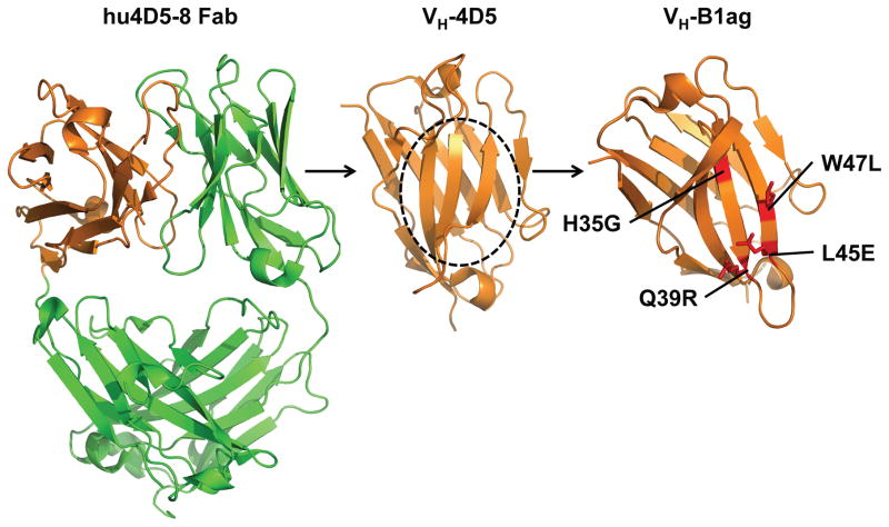 Figure 7