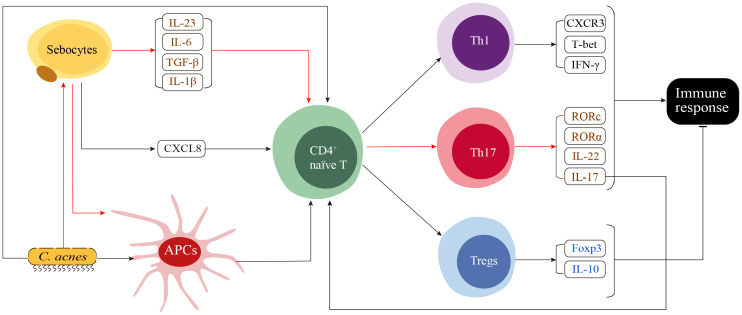 Figure 2