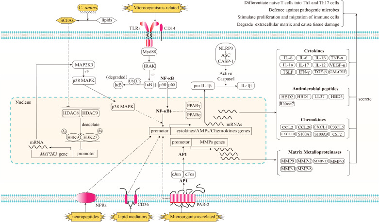 Figure 1