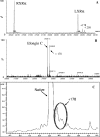 FIG. 2.