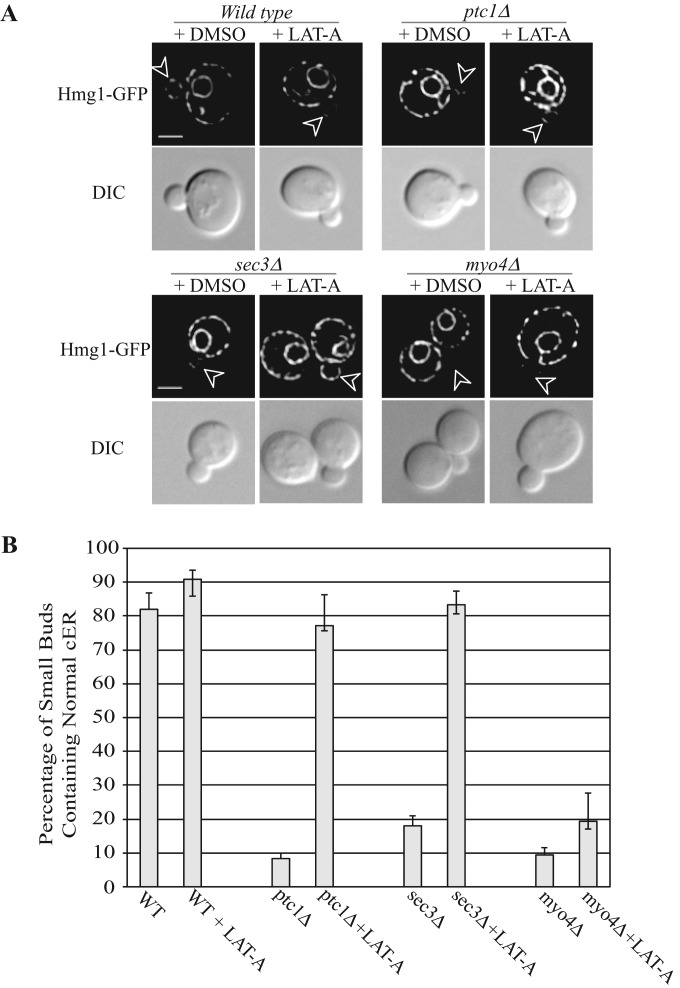 FIGURE 4: