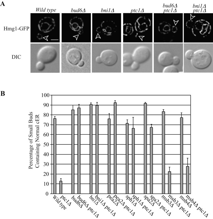 FIGURE 1: