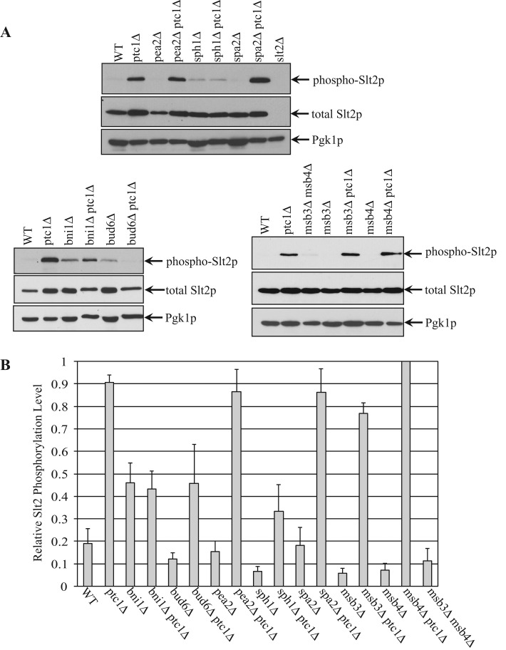 FIGURE 3: