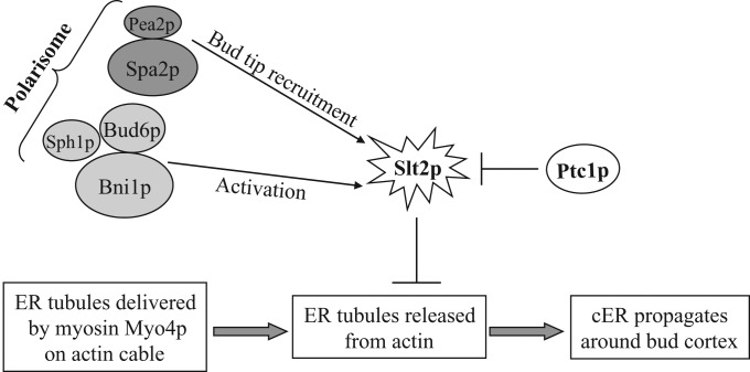 FIGURE 8: