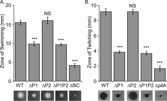 FIG 3