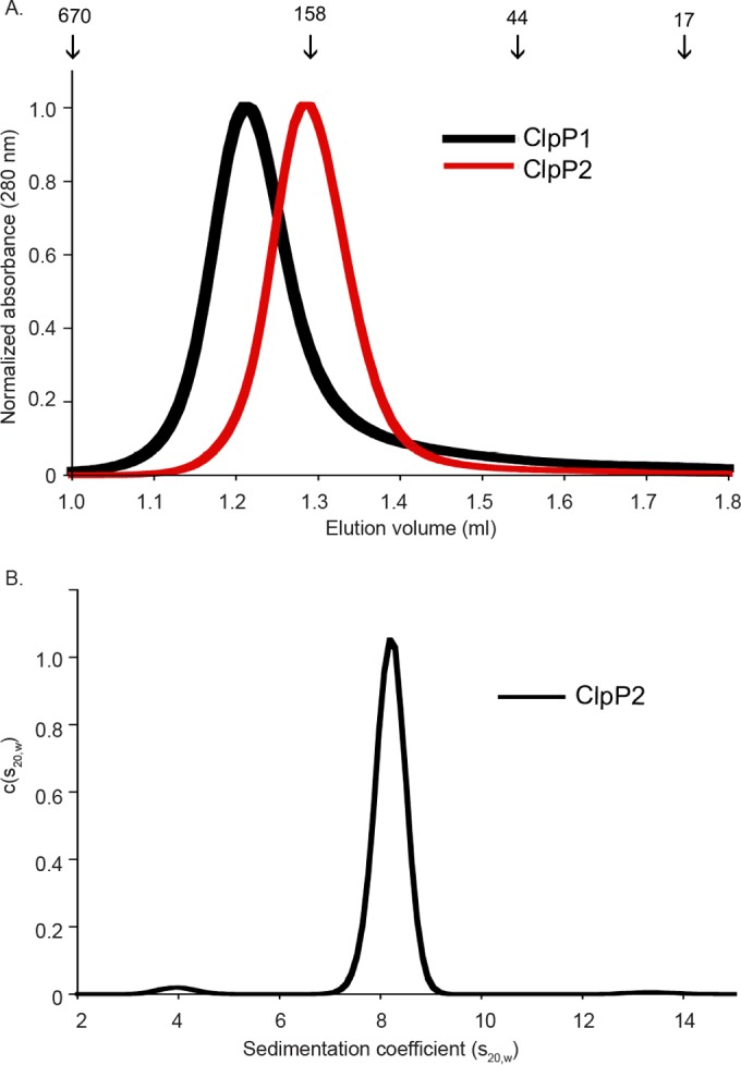 FIG 7