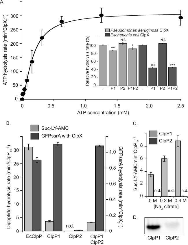 FIG 6