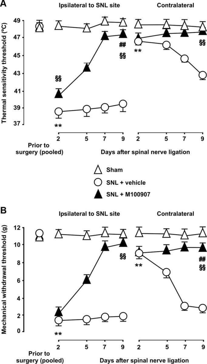 Figure 11.