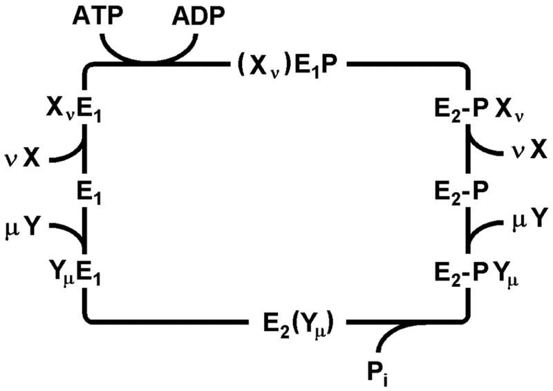 Figure 2: