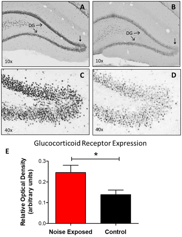 Figure 6: