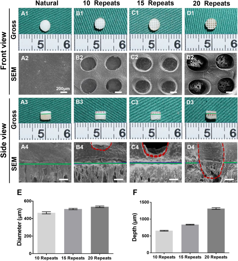 Fig. 2