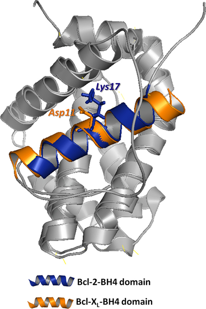 Fig. 2