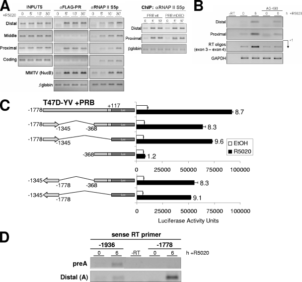 FIG. 10.