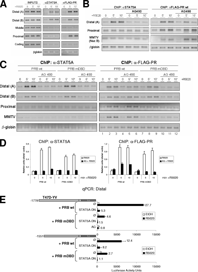 FIG. 8.