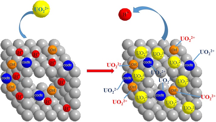 Figure 17.