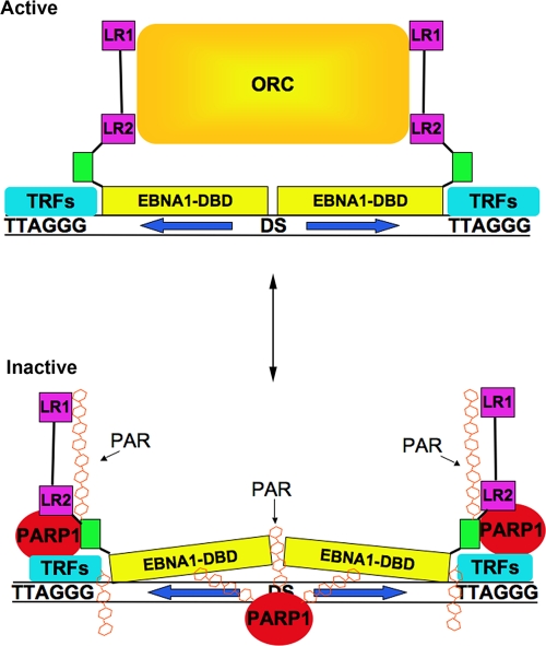 FIG. 8.