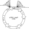 FIG 3