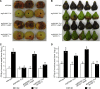 FIG 6