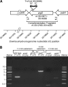 FIG 1