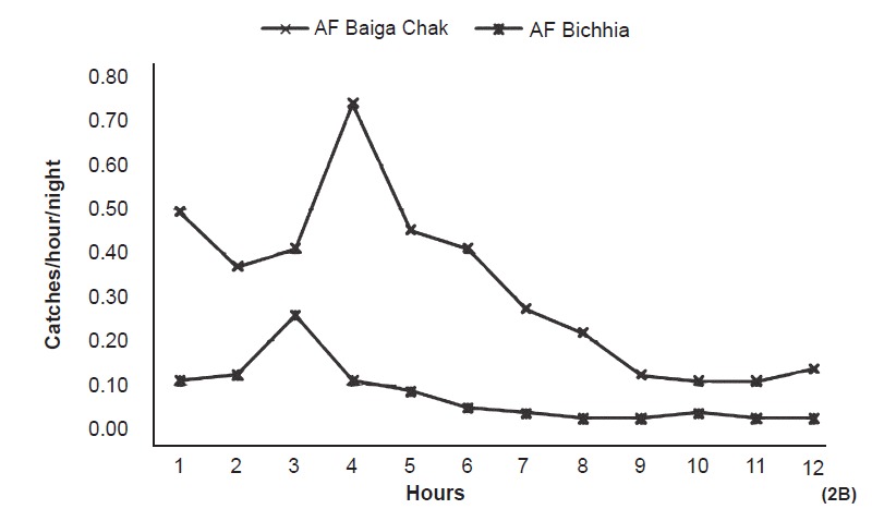 Fig. 2B