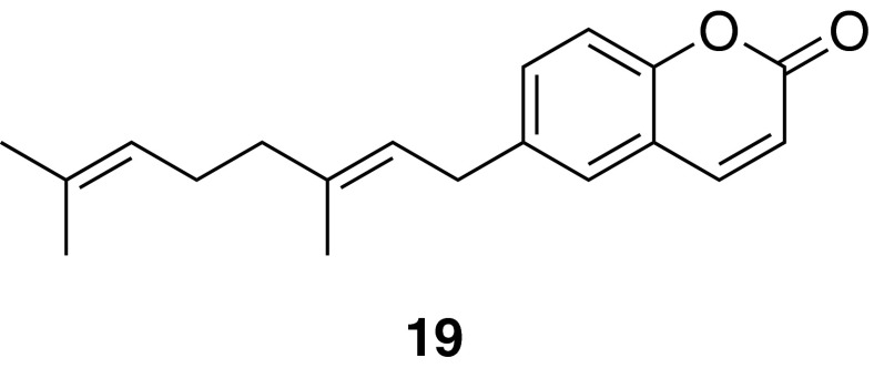 Fig. 11