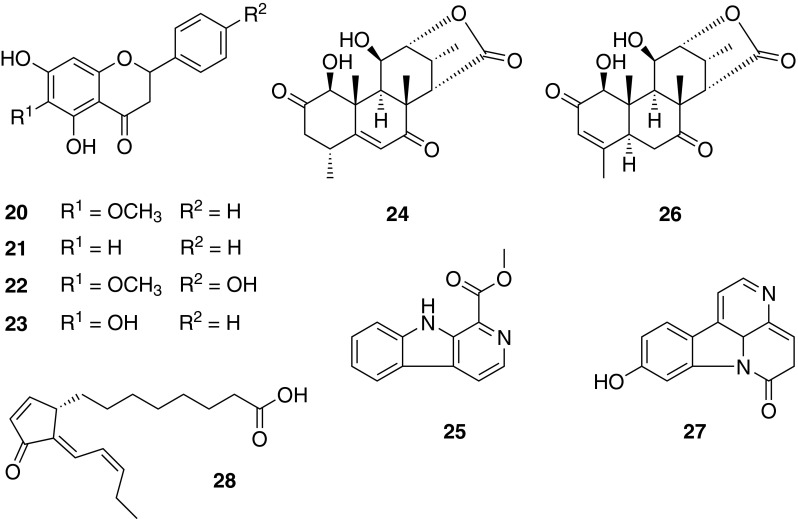 Fig. 12