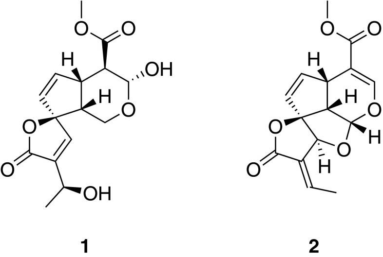 Fig. 3