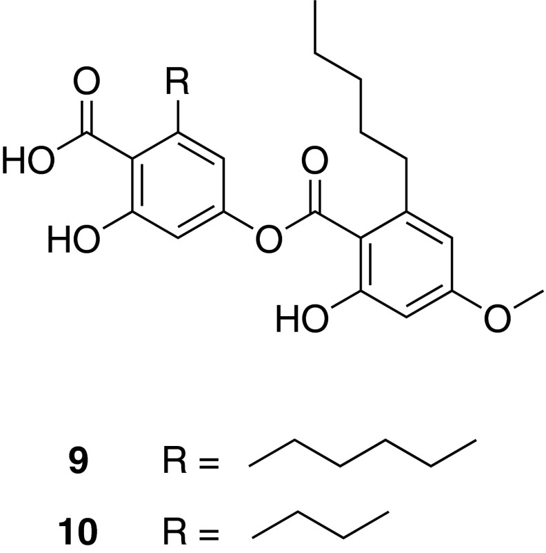 Fig. 6