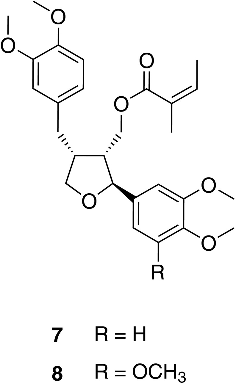 Fig. 5