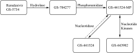 Scheme 2