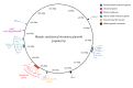 This figure shows a diagram of a mosaic resistance and virulence plasmid with the key markers blaOXA-48, aerobactin iucABCD and iutA genes, the IncHI1B(pNDM-MAR) replicon, as well as a backbone specific oligonucleotide marker.