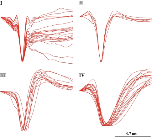 Fig. 3