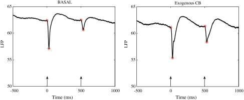 Fig. 5