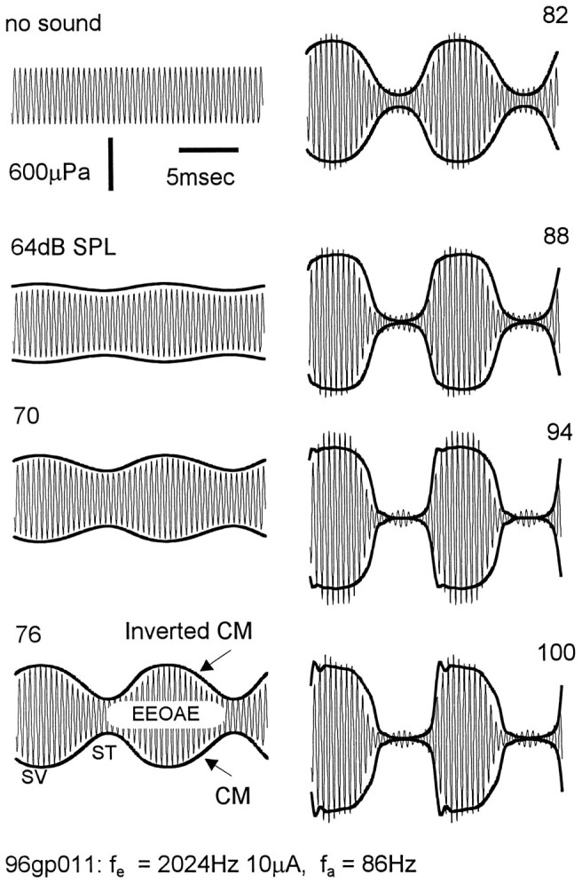 Fig. 3.